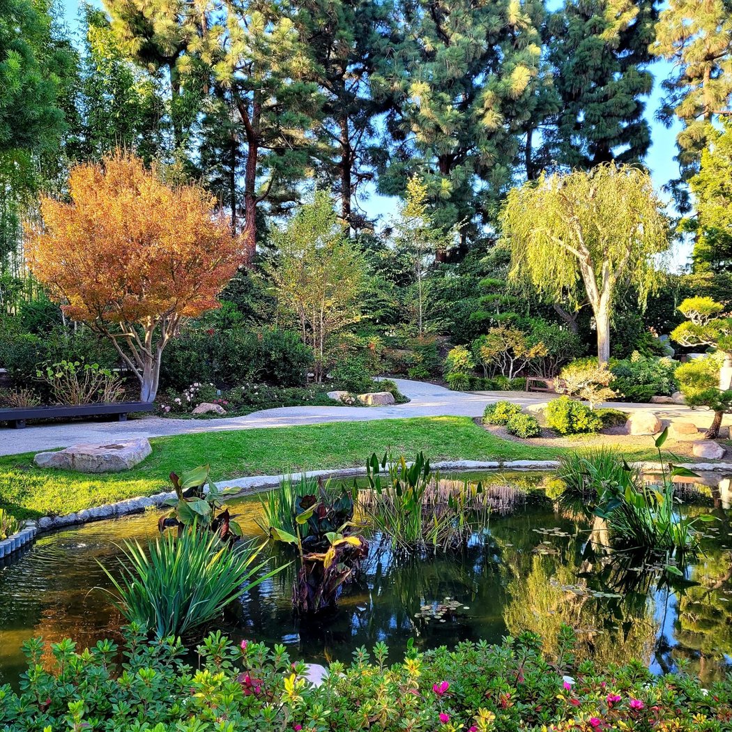 Forest Bathing at the Japanese Garden 1